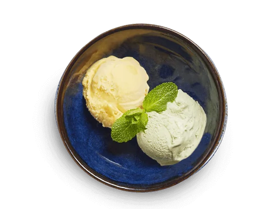wagamama juice sorbet