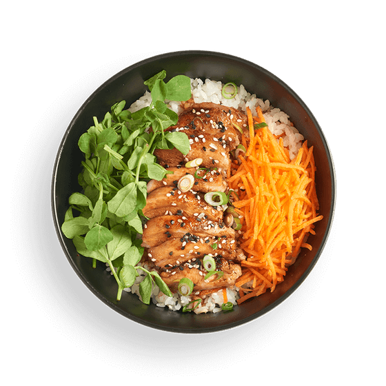Chicken Teriyaki Donburi