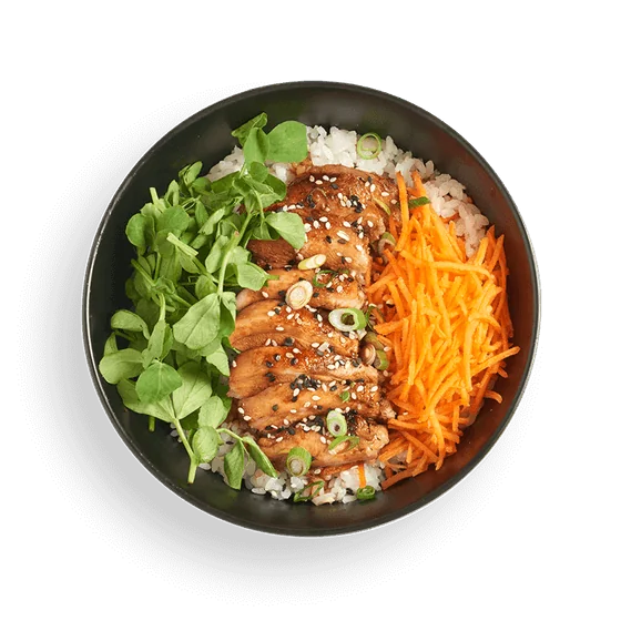 Chicken Teriyaki Donburi