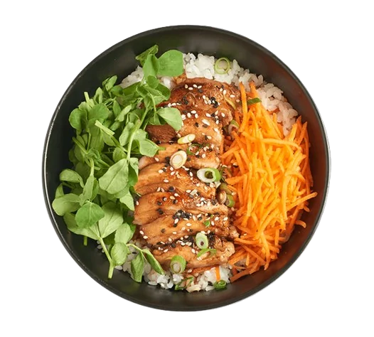 Wagamama Chicken Thigh Teriyaki Donburi